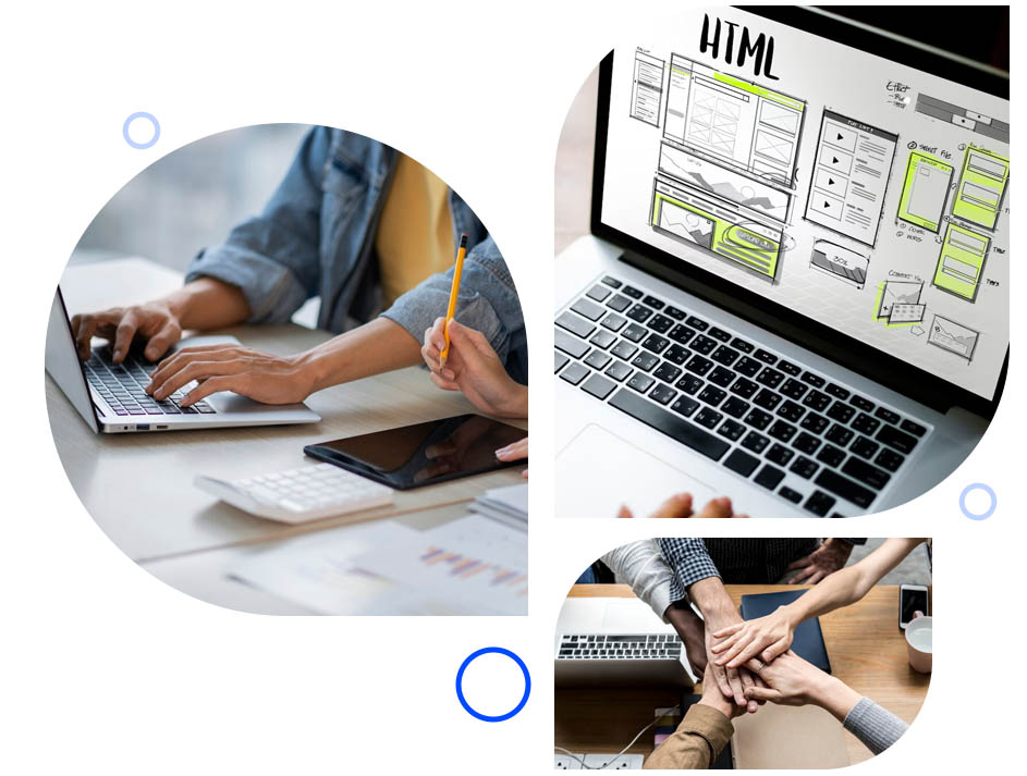 Expert Web Design and Development – Free!